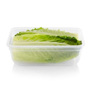 Snapware® Total Solution® 8.5-cup Plastic Food Storage Container with Lid - Image 2