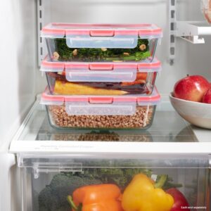 Pyrex® Freshlock™ 10-piece Glass Storage Set - Image 4